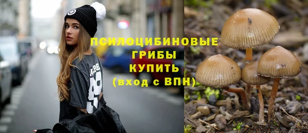 PSILOCYBIN Беломорск